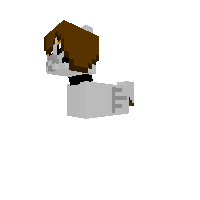 new pony