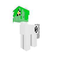 New Pony