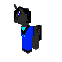 New Pony