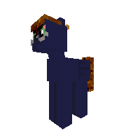New Pony