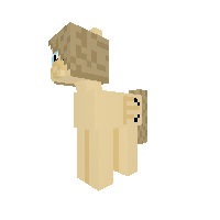 New Pony