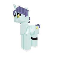 New Pony