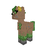 Grass