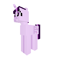 New Pony