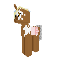 New Pony