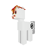 New Pony