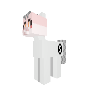 New Pony