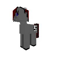 New Pony