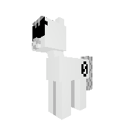 New Pony
