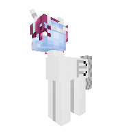 New Pony