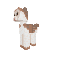 Barn Owl