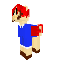 Pony Guy