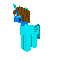 My pony skin