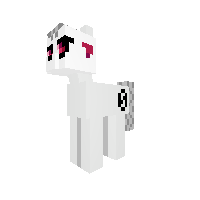 New Pony