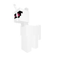 neow