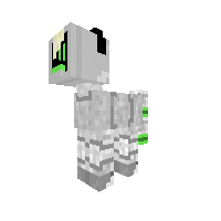 computer head