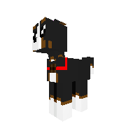 Glacoda (Pokemon OC)
