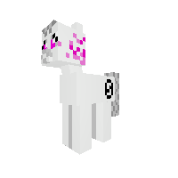 New Pony