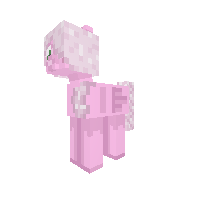 New Pony