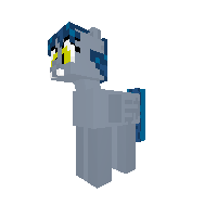 New Pony