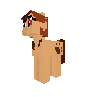 CinnamonSticks