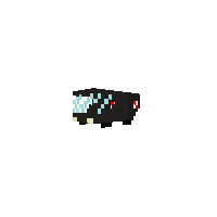 New Pony