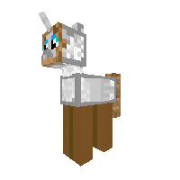 New Pony