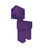 New Pony