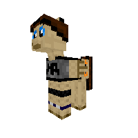 thewalkingmetallica pony