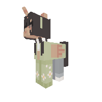 My MC skin as an Alicorn