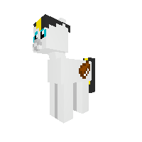 New Pony