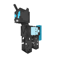 New Pony