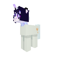 New Pony