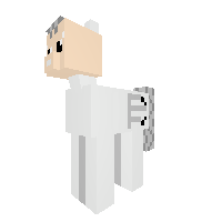 Johnny Musket