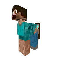 Steve Pony
