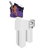 New Pony