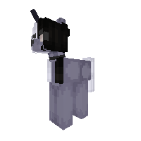 New Ponyrr