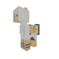 Assasin's Creed Pony