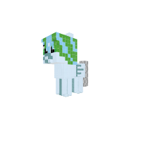 New Pony