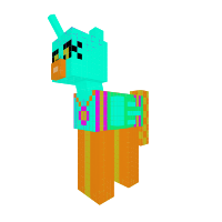 team ponys