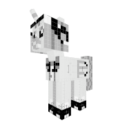 New Pony