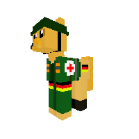 German Medic Pony