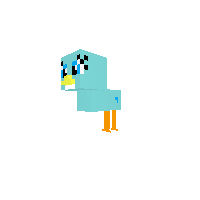 bird