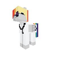 test pony2
