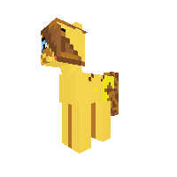 New Pony