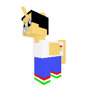 Hungary Pony