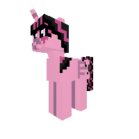 New Pony