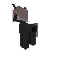 A Witch Pony
