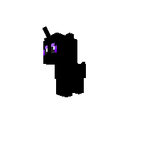 Ender Pony
