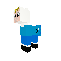 Finn The Pony